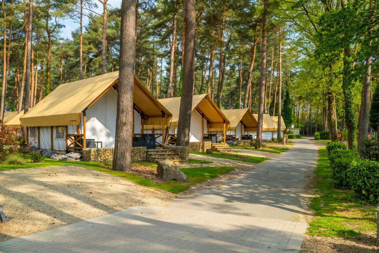 זוטנדאל Europarcs Hoge Kempen מראה חיצוני תמונה